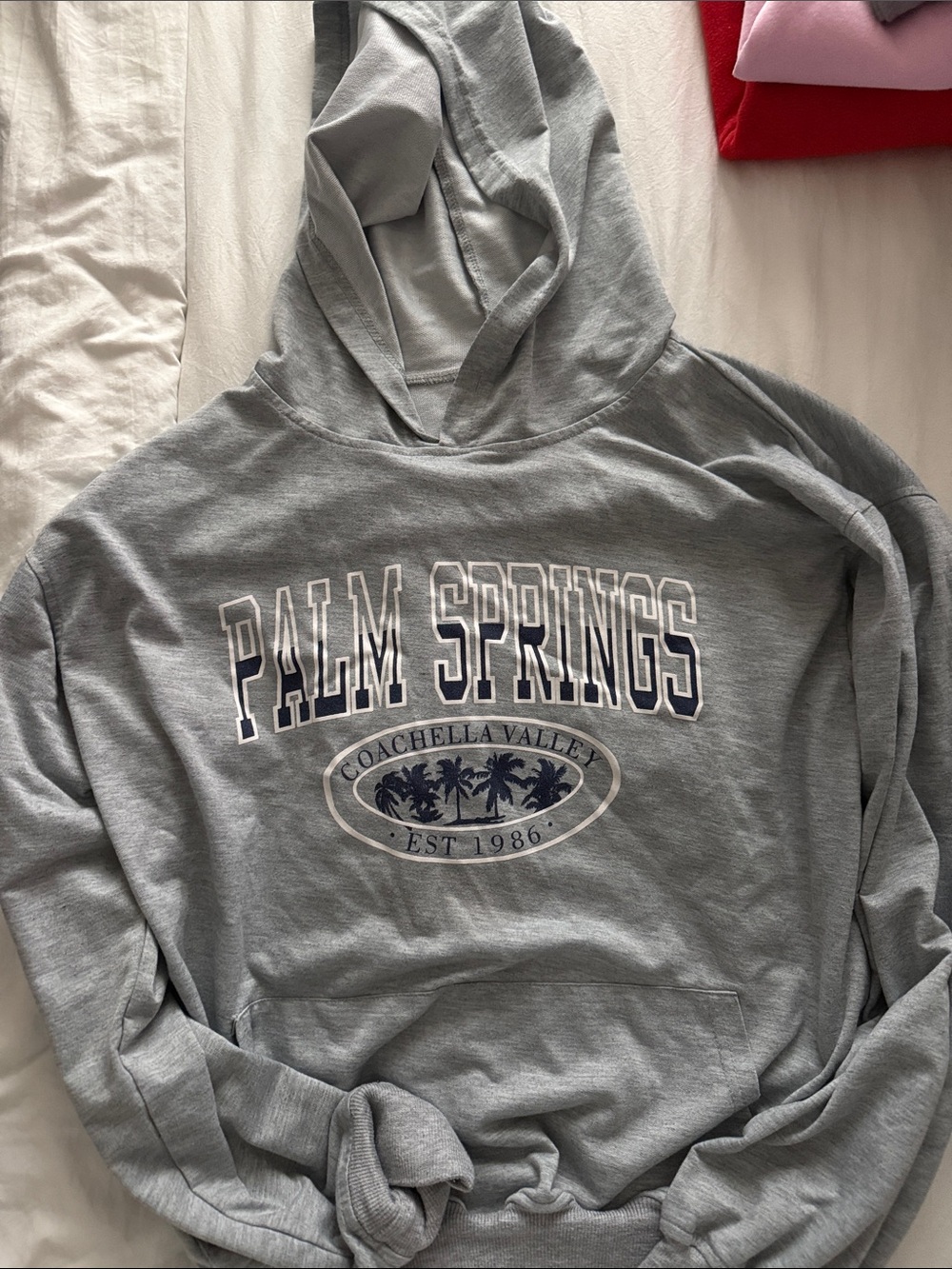 Palm Springs Gray Hooded Sweatshirt - Casual Sweater